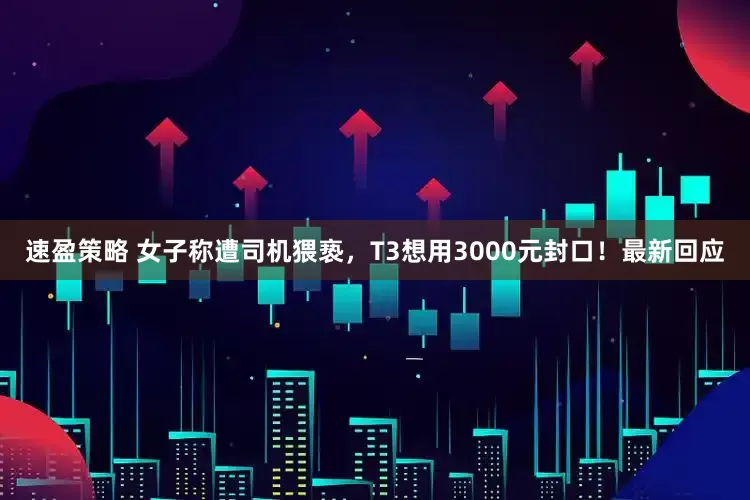 速盈策略 女子称遭司机猥亵，T3想用3000元封口！最新回应