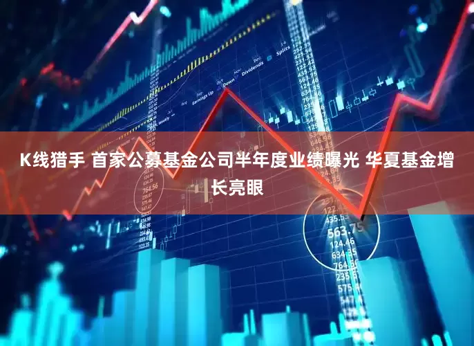 K线猎手 首家公募基金公司半年度业绩曝光 华夏基金增长亮眼