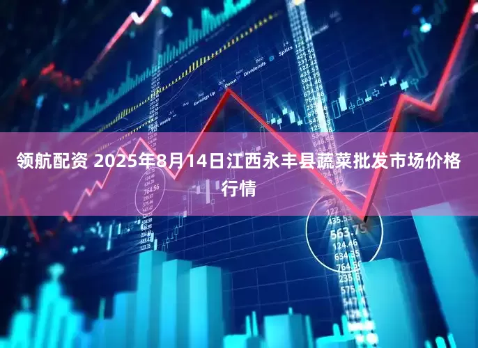 领航配资 2025年8月14日江西永丰县蔬菜批发市场价格行情