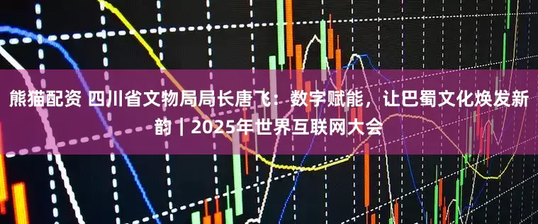 熊猫配资 四川省文物局局长唐飞：数字赋能，让巴蜀文化焕发新韵｜2025年世界互联网大会