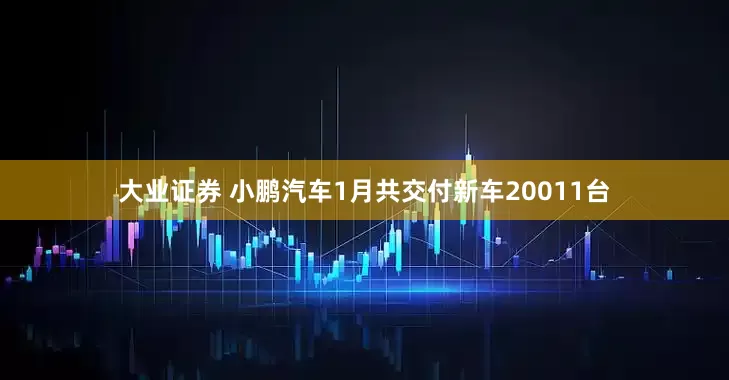 大业证券 小鹏汽车1月共交付新车20011台