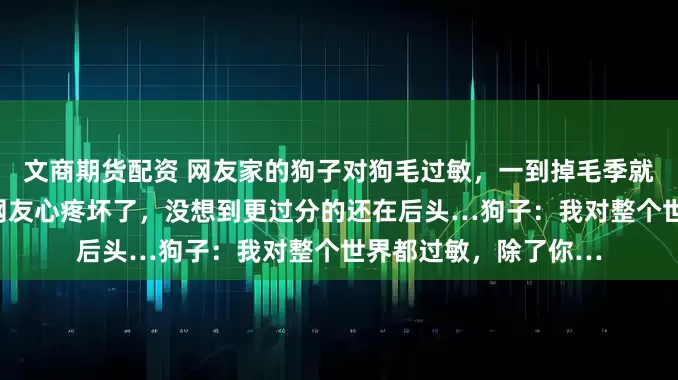 文商期货配资 网友家的狗子对狗毛过敏，一到掉毛季就化身“功夫熊猫”…网友心疼坏了，没想到更过分的还在后头…狗子：我对整个世界都过敏，除了你…