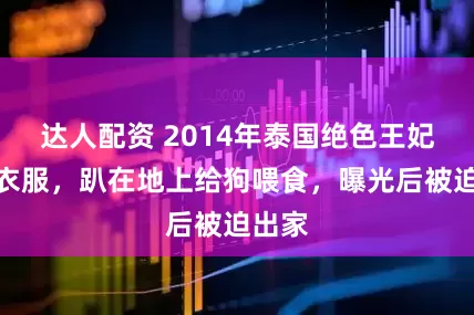 达人配资 2014年泰国绝色王妃脱光衣服，趴在地上给狗喂食，曝光后被迫出家